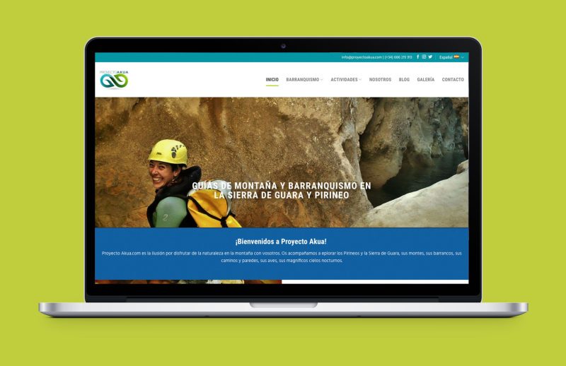 Diseño de páginas web_Diseño web